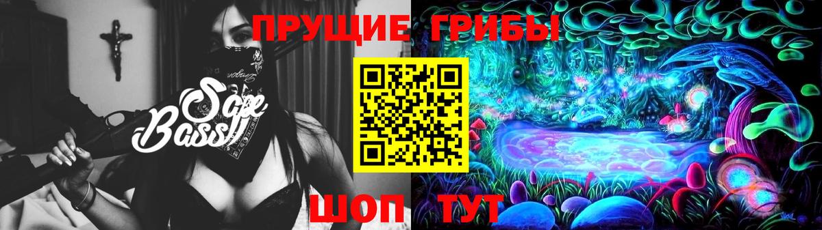 Свободный  Псилоцибиновые грибы GOLDEN TEACHER  Вход с VPN  Галлюциногенные грибы Cubensis 