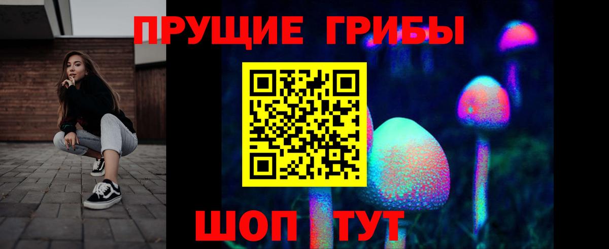 Галлюциногенные грибы Psilocybine cubensis Свободный